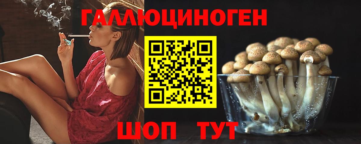 Псилоцибиновые грибы Magic Shrooms Гусь-Хрустальный